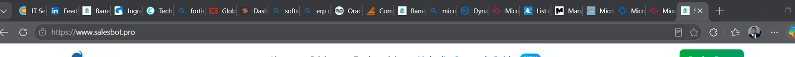 A browser with more than twenty tabs open while researching one account